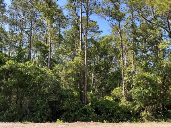 4200 Helena St, Hastings, FL 32145