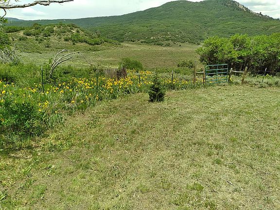 4th image of County Road 31 #10