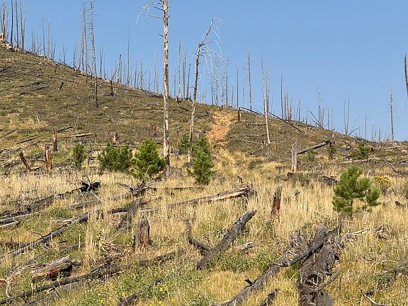 2nd image of 0 Pine Acres Rd