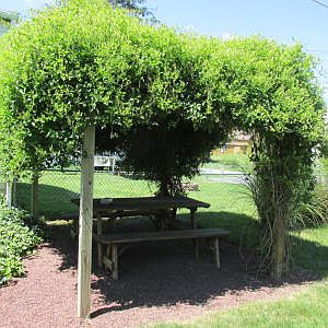 4th image of 140 Anthracite Road