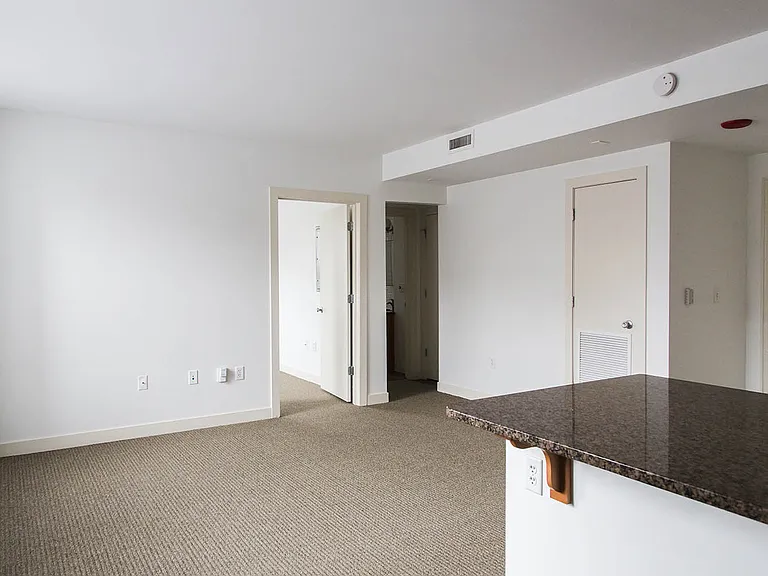Dining/Living room