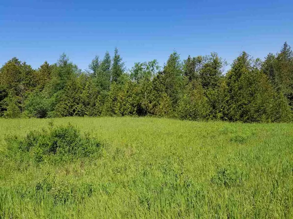 2453 Atkins Rd, Petoskey, MI 49770