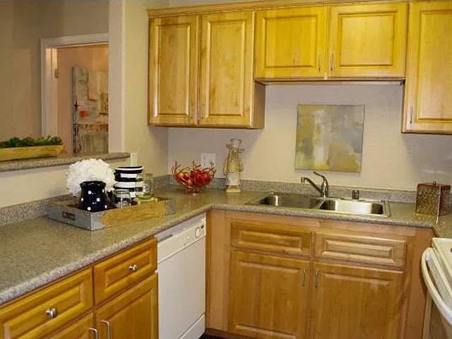 Spacious Apartments For Rent