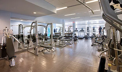 Rented by Bold New York