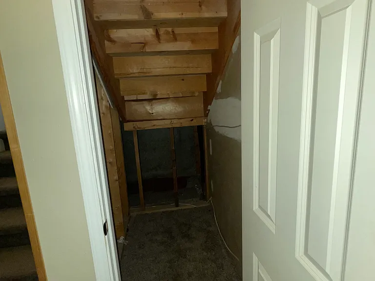 Closet under stairs in basement.