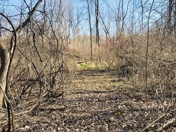 0 Valley Dr, Metamora, MI 48455