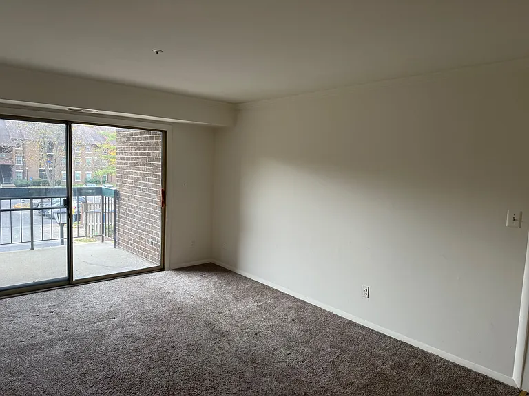 7909 Coriander Dr #204 — Photo 3