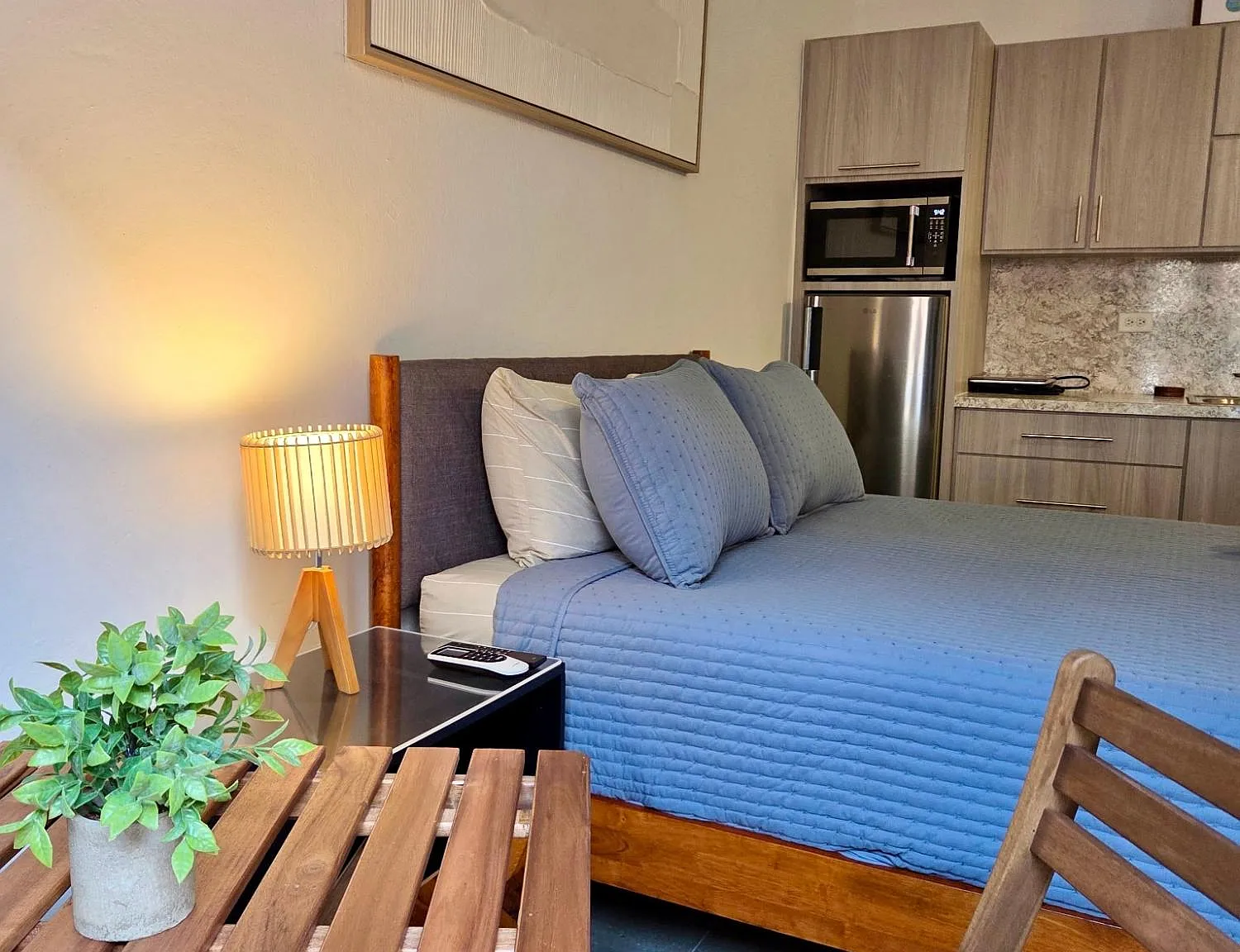1 bed, 1.0 bath, 218 sqft, $1,200 — Photo 1