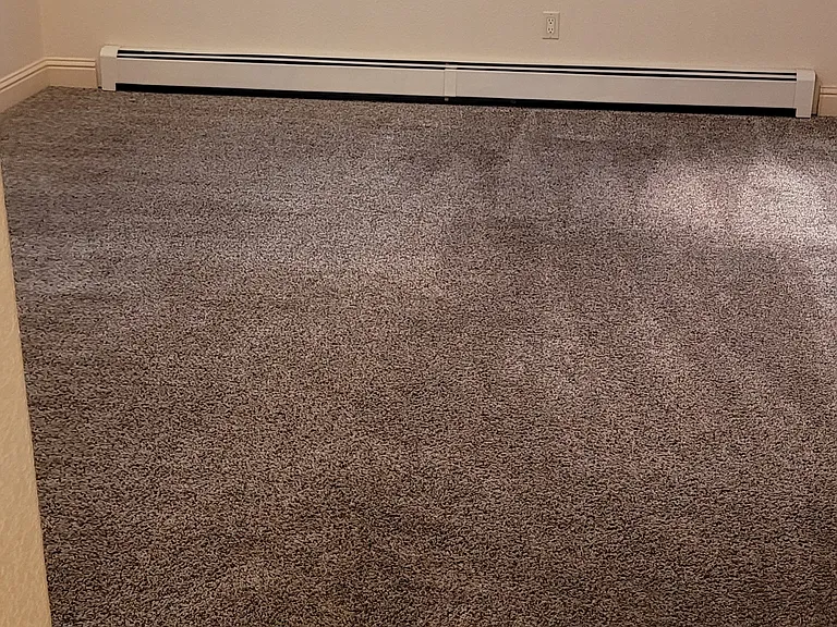 145 Caywood Cir #1 — Photo 7