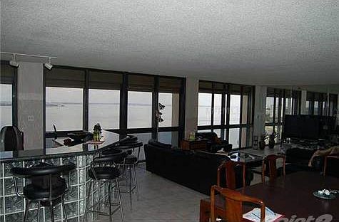 4th image of 3301 Bayshore Blvd Unit 1906