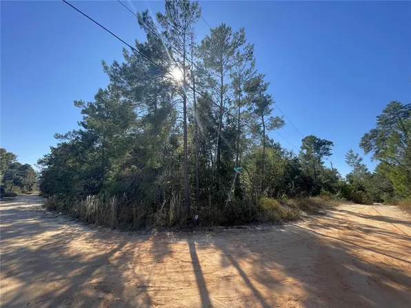 Magnolia Street & Pinetree St Lot 109, Pomona Park, FL 32181