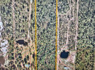 0 Wilkinson Ln, Hilliard, FL 32046