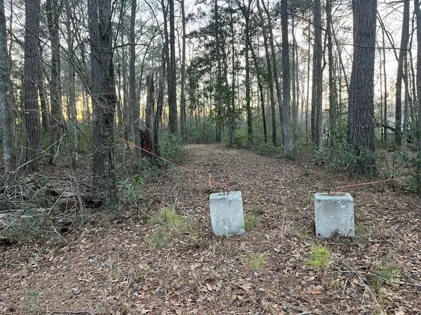 5647 Highway 174, Adams Run, SC 29426