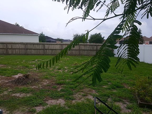 5th image of 10802 Australian Pine Dr