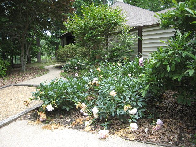 2nd image of 28 Cottage Ln