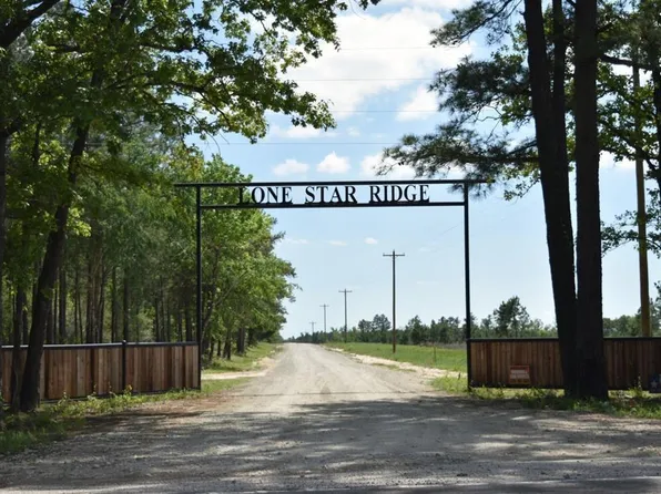 TRACT 82 Collin St, Lovelady, TX 75851
