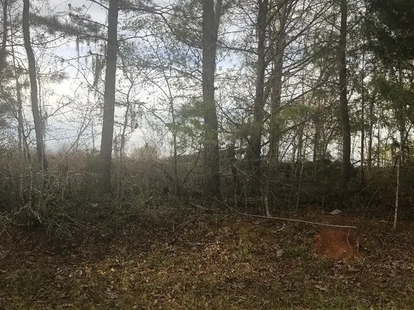0 Crabapple Dr, Hawkinsville, GA 31036