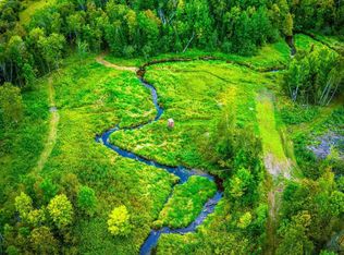 LOT 3 N Blackduck Lake Rd NE, Hines, MN 56647