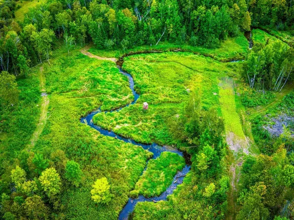 LOT 3 N Blackduck Lake Rd NE, Hines, MN 56647