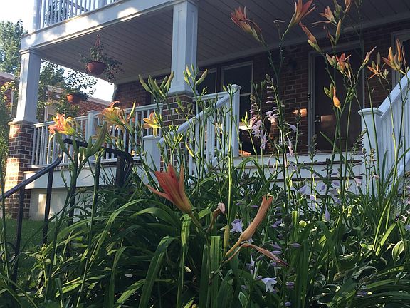 Gardens in Summer