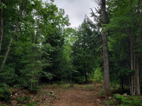 TBD Thomas Hill Road, Norway, ME 04268