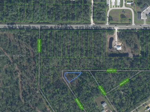 2124 Abington St, Sebring, FL 33875