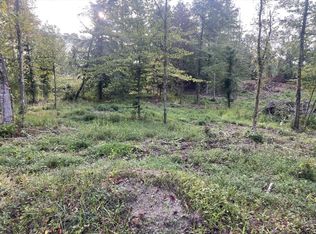 LOT 4 Race Track Rd, Rogersville, TN 37857