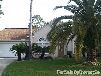 Front Yard, Palms