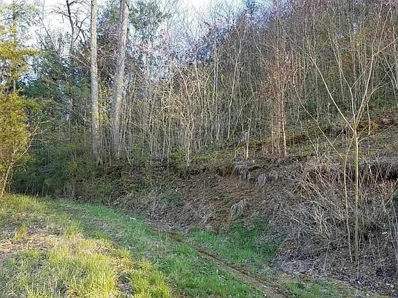 3rd image of Tbd Hwy #66