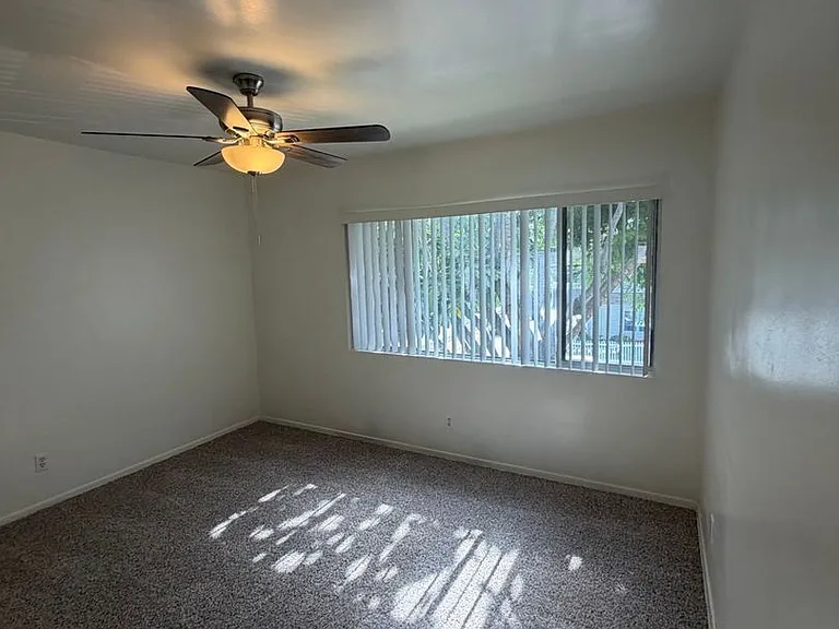 Ramona — Photo 24