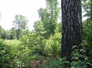 Tbd Petunia, Ore City, TX 75683