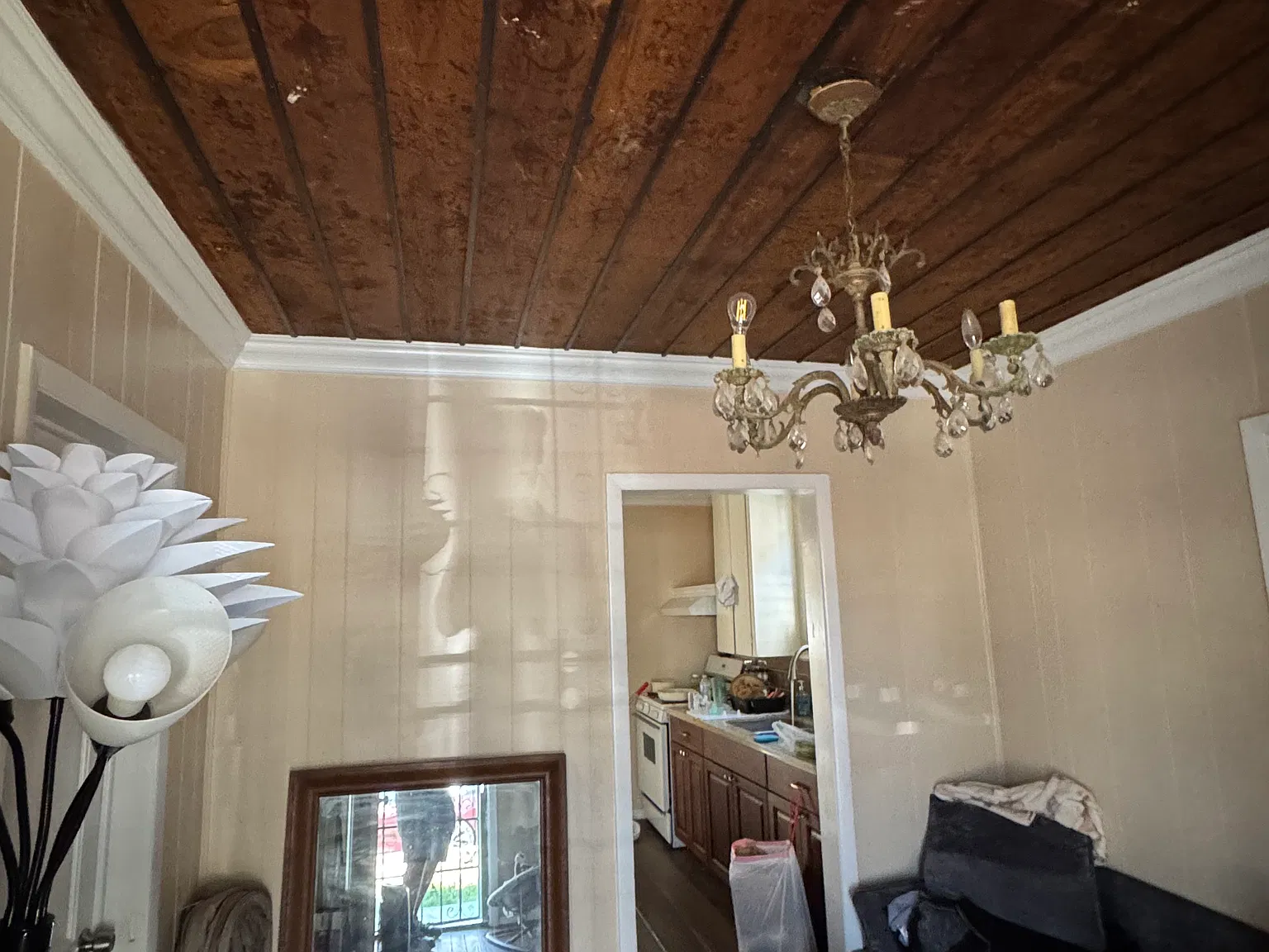 1 bed, 587 sqft, $685 — Photo 2