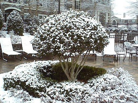 2nd image of 5710 Arringdon Park Dr APT 901