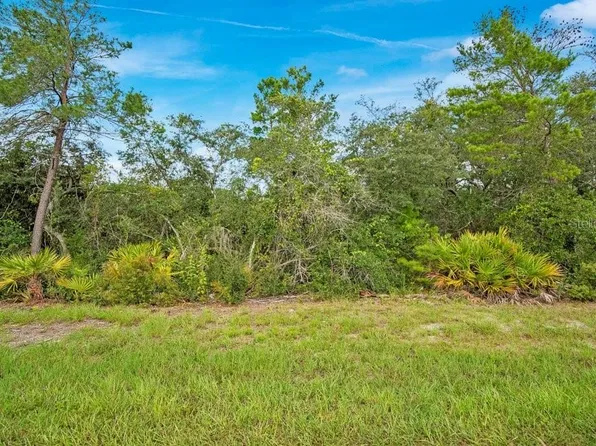 GEORGIA STREET LOT 5, PAISLEY, FL 32767