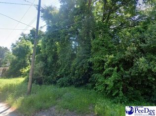 113 Cleveland St, Darlington, SC 29532