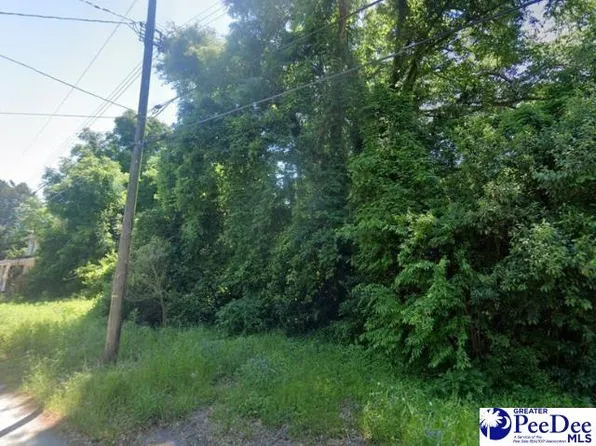 113 Cleveland St, Darlington, SC 29532