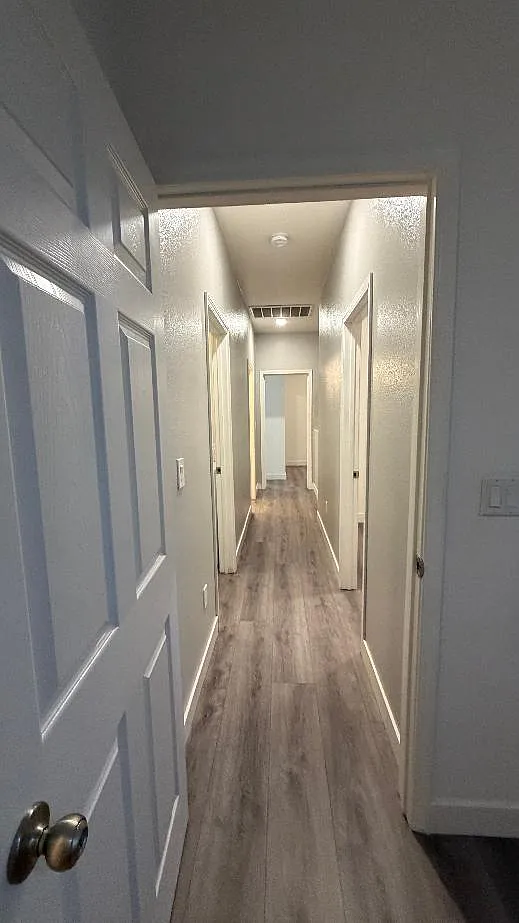 3 bed, 1200 sqft, $2,995 — Photo 3