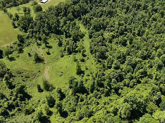 4th image of Ices Run Rd