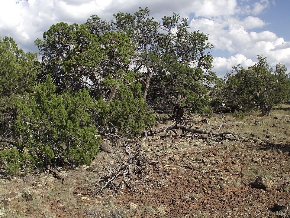 1st image of 802 E Hualpai Trl
