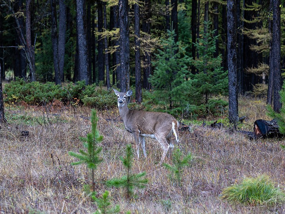 85th image of this home