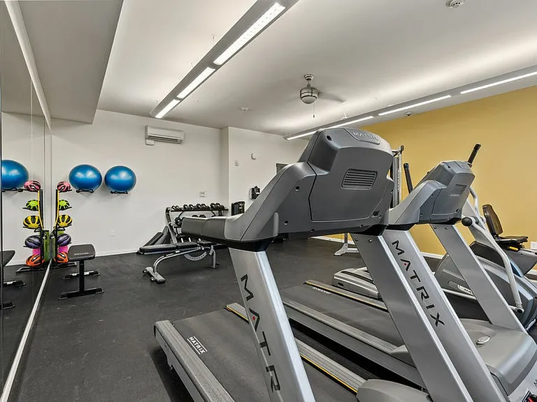 Gym Weights