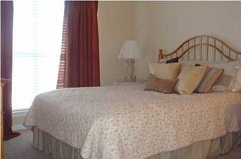 3rd image of 700 Daniel Ellis Dr APT 9205