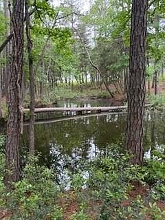 4th image of 139777 Capital Creek Ranch Blvd Lot 8