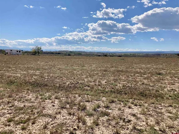 Lot 14 Fredonia Road, Olathe, CO 81425