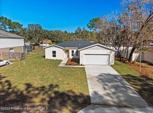 11107 Elgin Blvd, Spring Hill, FL 34608