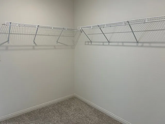4137 Juniper Pear Ave — Photo 4