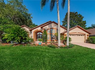 15111 Meadowlake St, Odessa, FL 33556