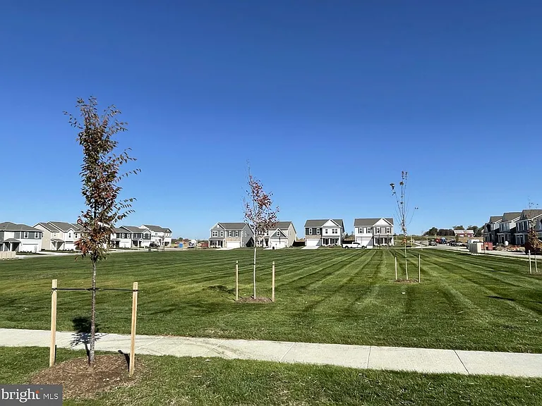 124 Charing Cross Dr — Photo 29