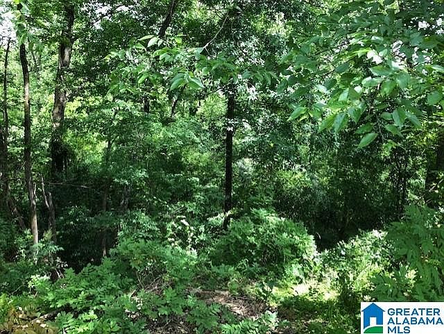 1st image of 3512 Lee St #1
