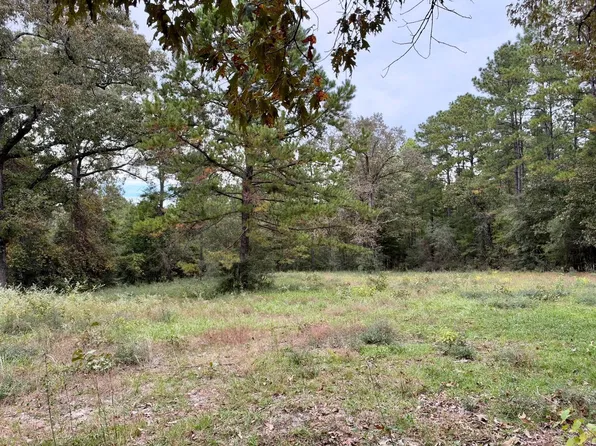 7 Acres Cir #3266, Colmesneil, TX 75938